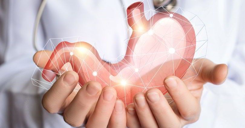 Dinh dưỡng cho người bệnh sau phẫu thuật cắt dạ dày – Ba giai đoạn “vàng” giúp cải thiện và nâng cao chất lượng cuộc sống - Bệnh viện Việt Đức