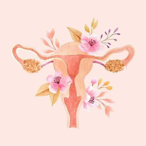 Hội chứng buồng trứng đa nang (PCOS) - Bệnh viện Từ Dũ