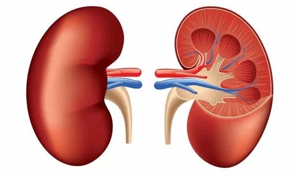 Suy thận mạn tính: Điều trị ra sao - Bệnh viện 108