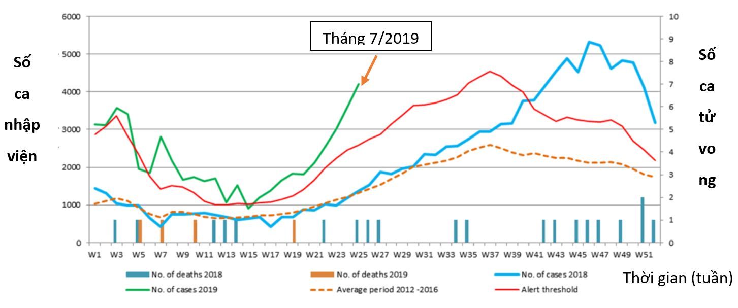 Diễn biến bất thường vụ dịch sốt xuất huyết dengue năm 2019 - Bệnh viện 108