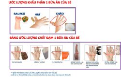 Giúp mẹ dễ dàng ước lượng khẩu phần ăn cho bé hàng ngày - Bệnh viện 108