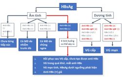 Xét nghiệm HBsAg từ labo đến lâm sàng - Bệnh viện 108