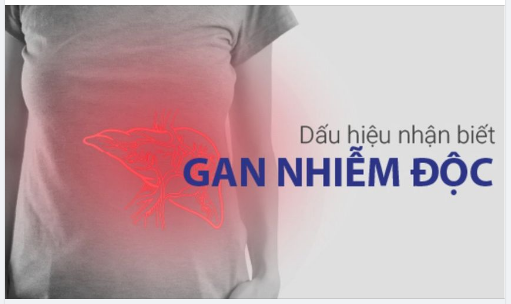 5 DẤU HIỆU CẢNH BÁO GAN ĐANG BỊ NHIỄM ĐỘC ÍT NGƯỜI ĐỂ Ý