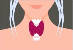 “BẮT BỆNH” SUY GIÁP TỪ NHỮNG TRIỆU CHỨNG ĐẦU TIÊN