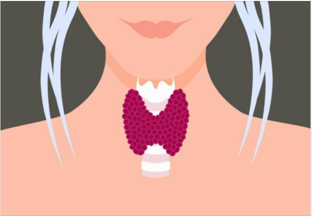 “BẮT BỆNH” SUY GIÁP TỪ NHỮNG TRIỆU CHỨNG ĐẦU TIÊN