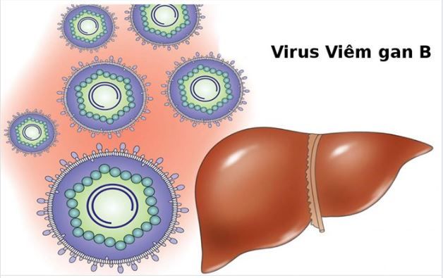 [CẢNH BÁO] CÁC CON ĐƯỜNG LÂY NHIỄM VIÊM GAN B