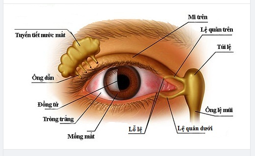 CÁCH NHẬN BIẾT TẮC LỆ ĐẠO Ở MẮT, KHÔNG PHẢI AI CŨNG BIẾT