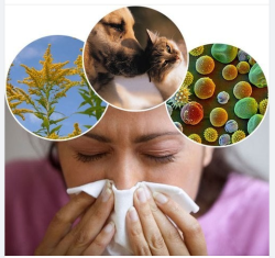 CẢNH GIÁC: VIÊM MŨI DỊ ỨNG ĐANG “VÀO MÙA”