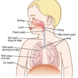 Chăm sóc cho trẻ có Canuynh khí quản tại nhà