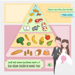 Chế độ dinh dưỡng hợp lý cho giai đoạn chuẩn bị mang thai