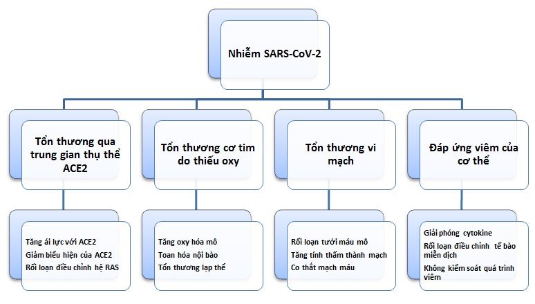 Xử lý bệnh nhân tim mạch như thế nào trong đại dịch COVID - Bệnh viện 108