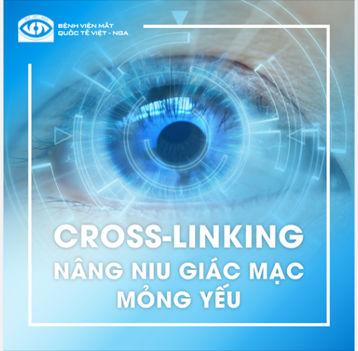 CROSS-LINKING: NÂNG NIU GIÁC MẠC MỎNG YẾU