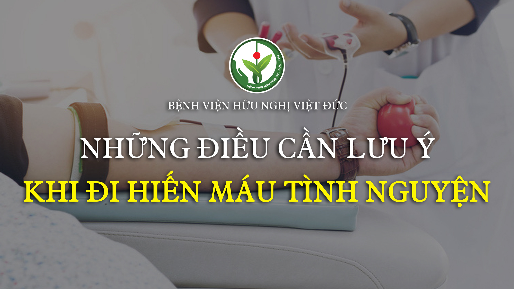 Những điều bạn cần lưu ý khi đi Hiến máu tình nguyện - Bệnh viện Việt Đức