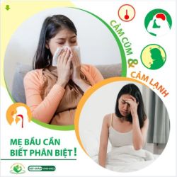 Phân biệt cảm cúm và cảm lạnh trong thai kỳ