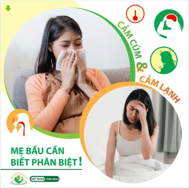 Phân biệt cảm cúm và cảm lạnh trong thai kỳ
