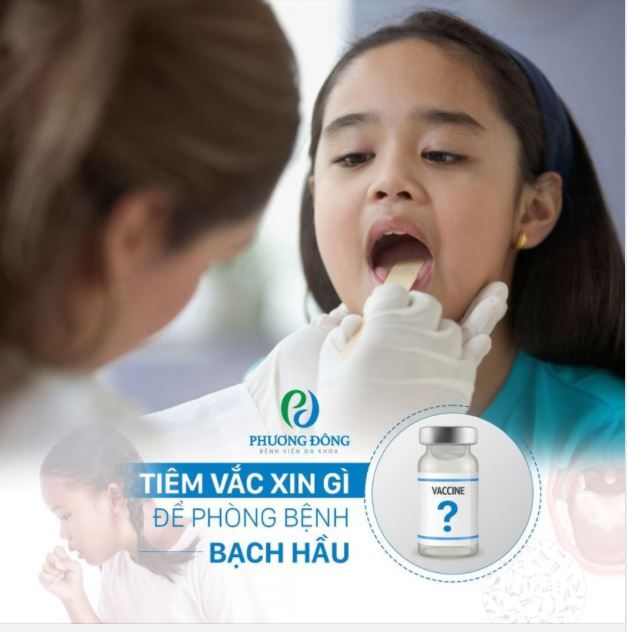 Tiêm vắc xin gì để phòng bệnh bạch hầu?
