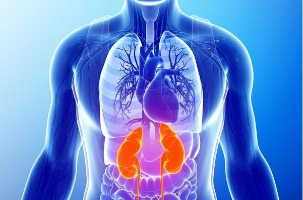 Ca cấy ghép thận vào vị trí lá lách đầu tiên trên thế giới - Bệnh viện 108