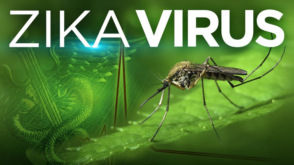 Cập nhật tình hình dịch bệnh do vi rút Zika - Bệnh viện 108