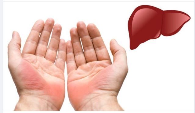 Gan của bạn có đang KHỎE MẠNH?