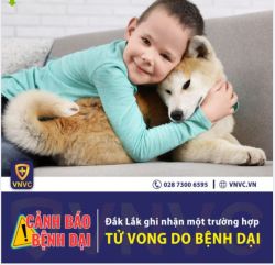 ĐẮK LẮK GHI NHẬN BỆNH NHÂN THỨ 3 TỬ VONG VÌ BỆNH DẠI CHỈ TÍNH TRONG 3 THÁNG ĐẦU NĂM