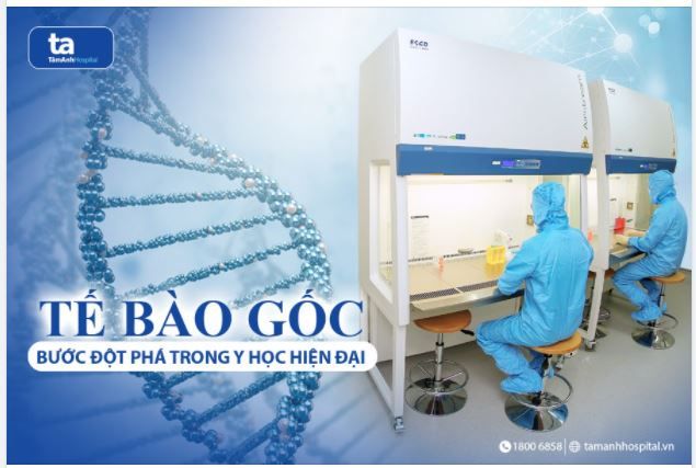 Tế bào gốc : thêm hy vọng trong cuộc sống, bác sĩ có thêm cơ hội, thêm sự lựa chọn để điều trị.