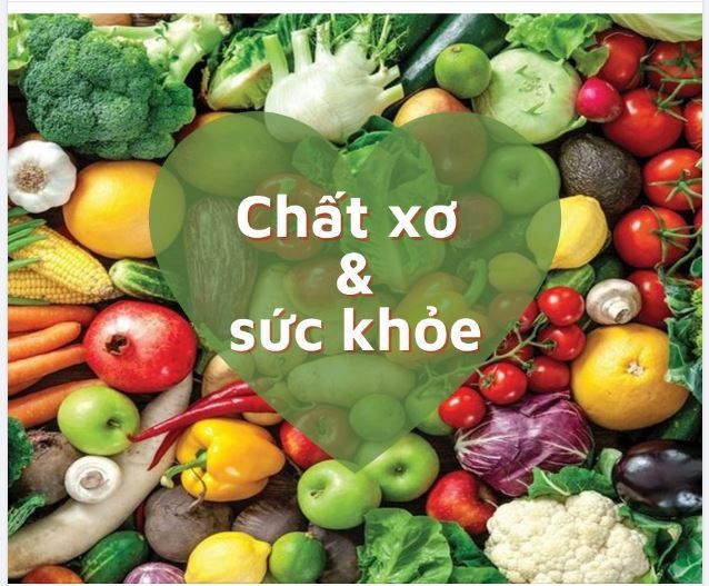CHẤT XƠ VÀ LỢI ÍCH ĐỐI VỚI SỨC KHỎE NGƯỜI BỆNH MẠN TÍNH