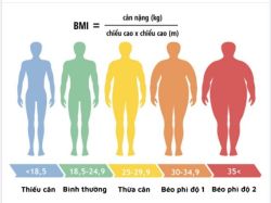 8 BỆNH NGUY HIỂM DỄ MẮC Ở NGƯỜI THỪA CÂN - BÉO PHÌ