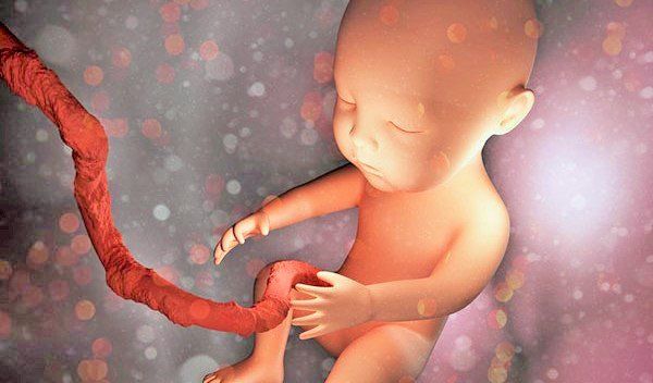 Xử trí sa dây rốn ở thai nhi