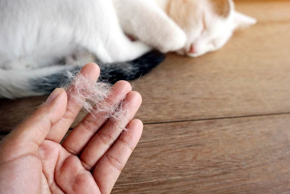 10 dấu hiệu cho thấy con bạn bị dị ứng chứ không phải cảm lạnh