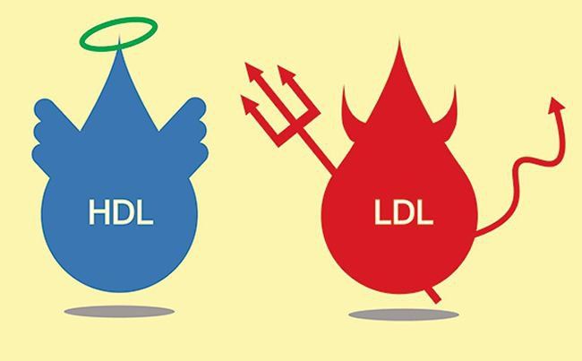 Cholesterol ở trẻ em: Những điều cần biết