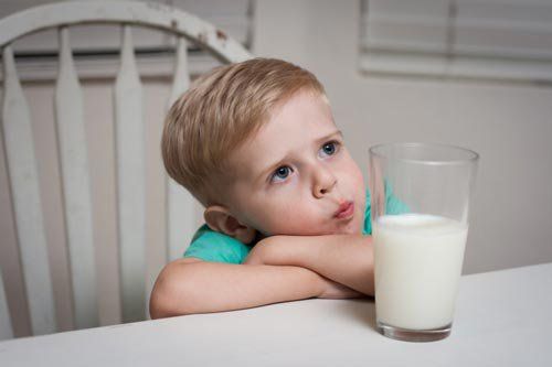 Khi nào nên cho trẻ uống sữa tươi?
