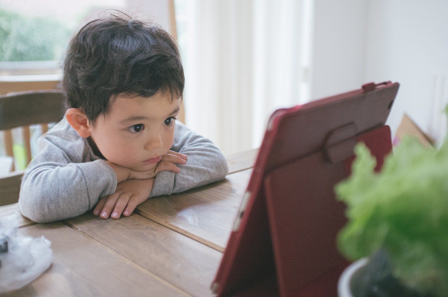 Phát hiện sớm tật khúc xạ ở trẻ nhỏ