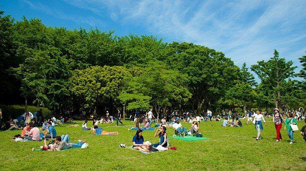 Trẻ nói ngọng: Nguyên nhân và cách điều trị hiệu quả