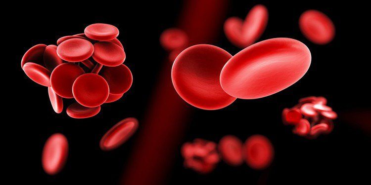 Bệnh Hemophilia là bệnh gì?