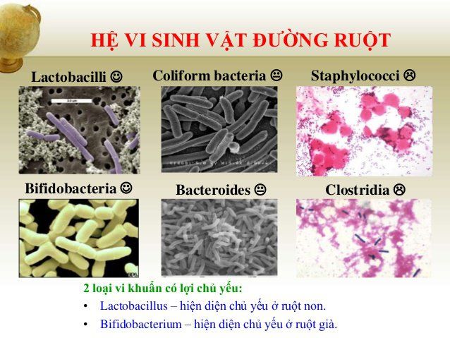 Nuôi con bằng sữa mẹ có thể có lợi cho đường ruột của trẻ