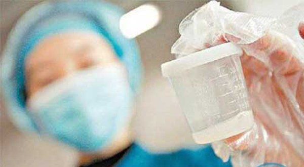 Trở thành cha mẹ khi bạn là người đồng tính, song tính, chuyển giới