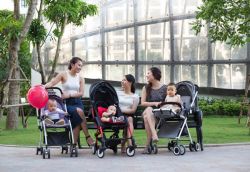 Tôi có thể cho con đi du lịch sớm không? Nên đi vào lúc nào?