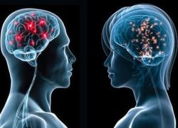 Phát triển trí não có sự khác biệt giữa bé trai và bé gái?