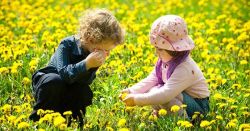 Bí quyết nuôi dạy trẻ thông minh: Để trẻ khám phá thế giới