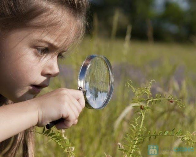 Bí quyết nuôi dạy trẻ thông minh: Để trẻ khám phá thế giới