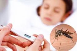 Các triệu chứng sốt xuất huyết ở trẻ em cần phát hiện sớm
