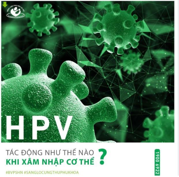 HPV tác động như thế nào khi xâm nhập cơ thể?