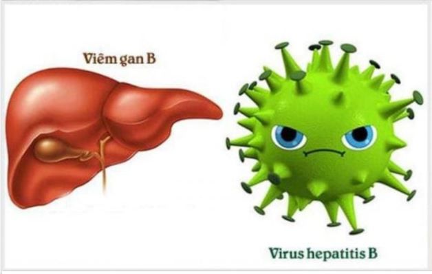 VIỆT NAM THUỘC NHÓM NƯỚC CÓ TỶ LỆ LƯU HÀNH VIRUS VIÊM GAN B CAO NHẤT THẾ GIỚI