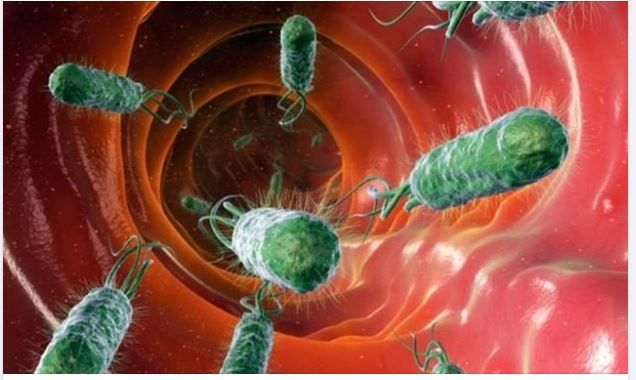 KHI NÀO CẦN ĐIỀU TRỊ VI KHUẨN HP?