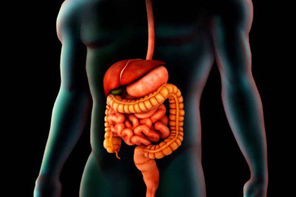 Lý do khiến bạn dễ buồn ngủ sau khi ăn no