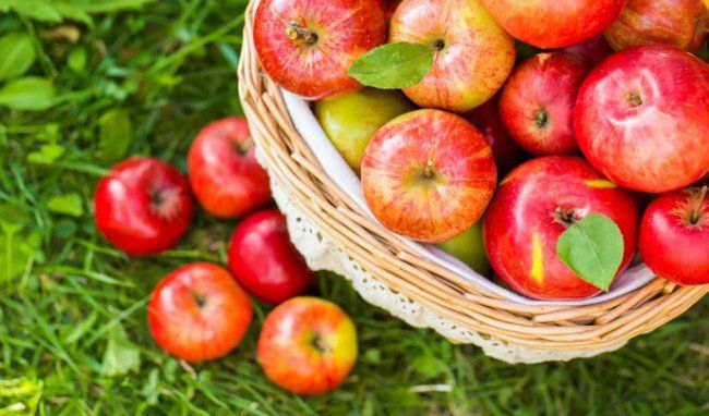 Bị tiểu đường ăn táo được không?