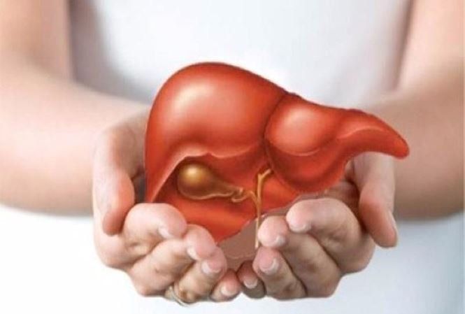 Các chỉ định của FibroScan đo độ đàn hồi và độ nhiễm mỡ của gan