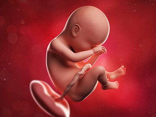 Ứng dụng siêu âm trong chẩn đoán bệnh lý bánh nhau thai