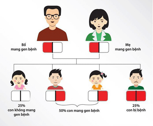 Các xét nghiệm tiền hôn nhân đánh giá nguy cơ con mắc bệnh Thalassemia