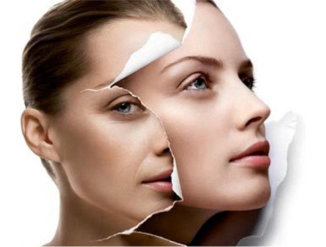 Collagen hoạt động thế nào trong cơ thể bạn?